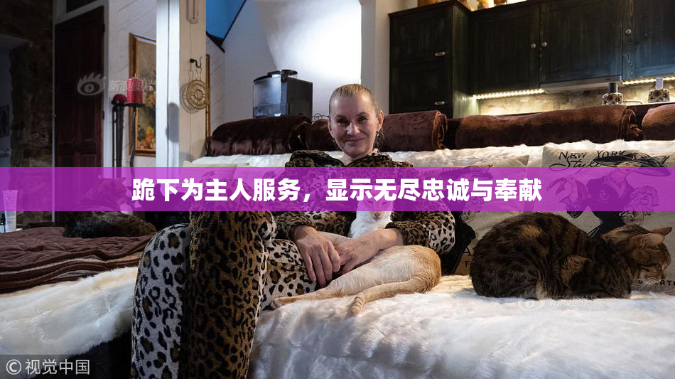 跪下为主人服务，显示无尽忠诚与奉献