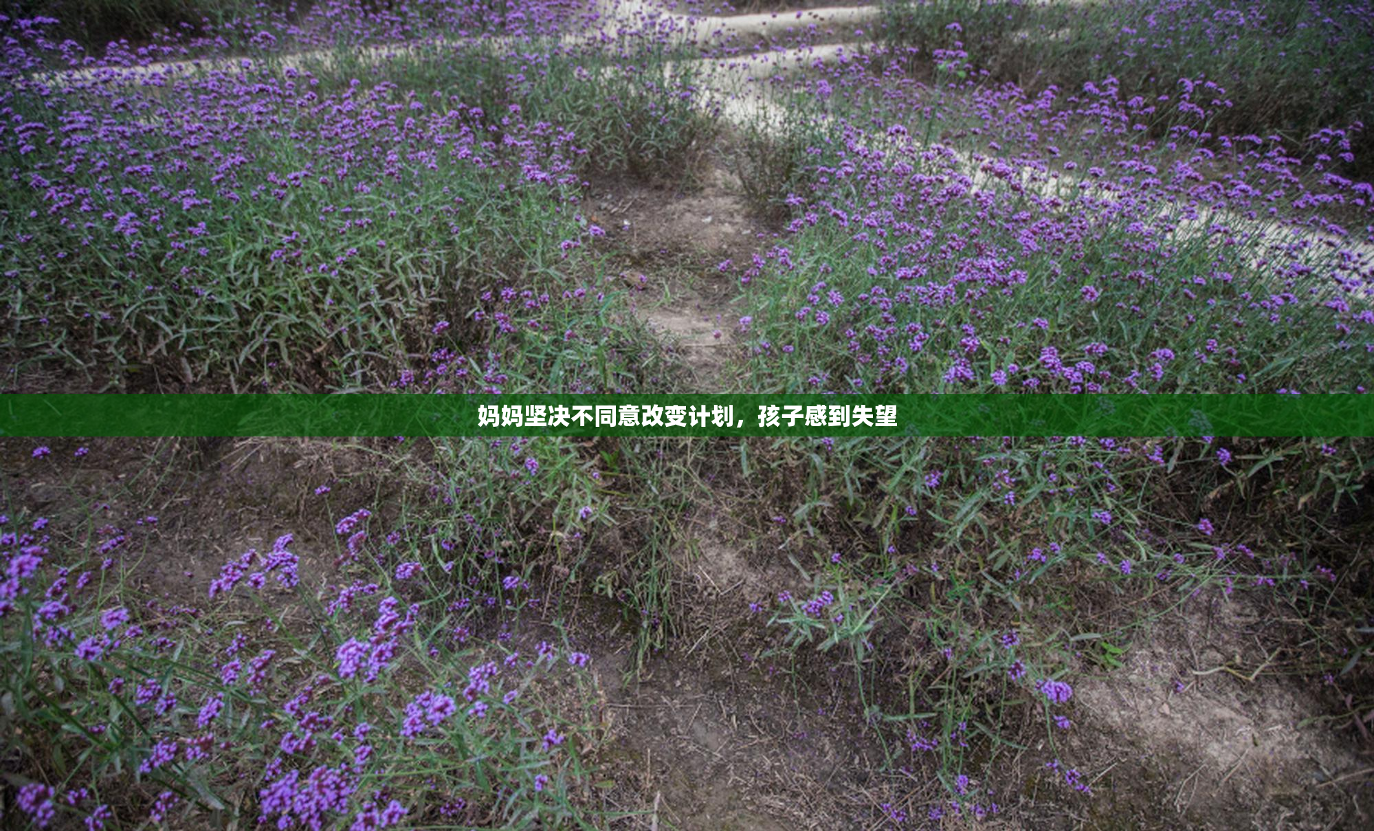 妈妈坚决不同意改变计划，孩子感到失望