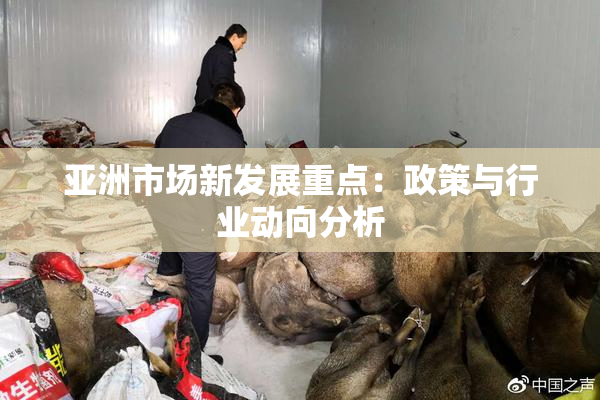 亚洲市场新发展重点：政策与行业动向分析