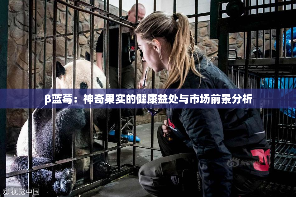 β蓝莓：神奇果实的健康益处与市场前景分析