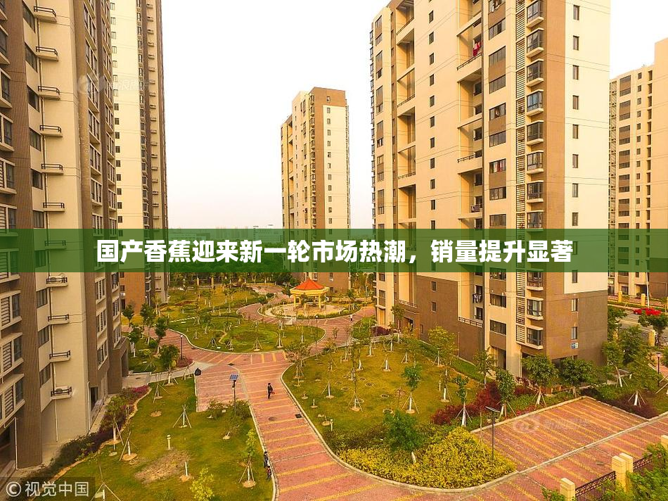 国产香蕉迎来新一轮市场热潮，销量提升显著