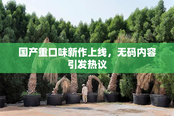 国产重口味新作上线，无码内容引发热议