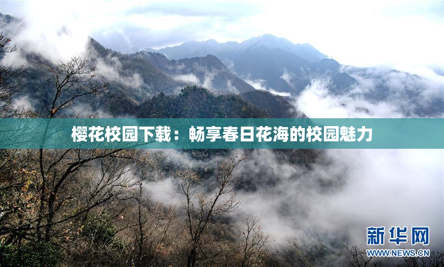 樱花校园下载：畅享春日花海的校园魅力