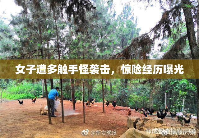 女子遭多触手怪袭击，惊险经历曝光