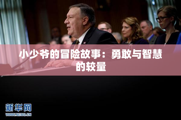 小少爷的冒险故事：勇敢与智慧的较量
