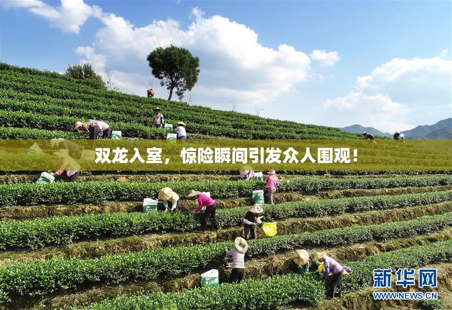 双龙入室，惊险瞬间引发众人围观！