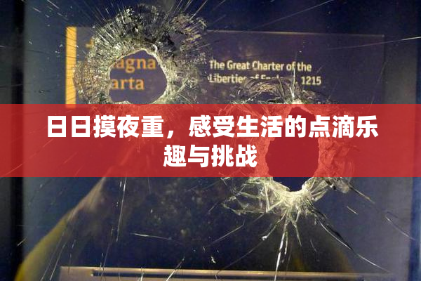 日日摸夜重，感受生活的点滴乐趣与挑战