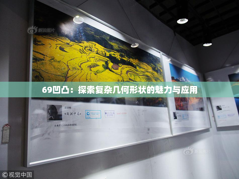 69凹凸：探索复杂几何形状的魅力与应用