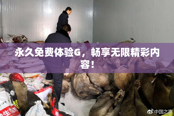 永久免费体验G，畅享无限精彩内容！