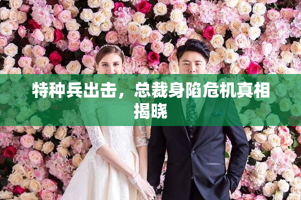 特种兵出击，总裁身陷危机真相揭晓