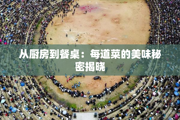 从厨房到餐桌：每道菜的美味秘密揭晓