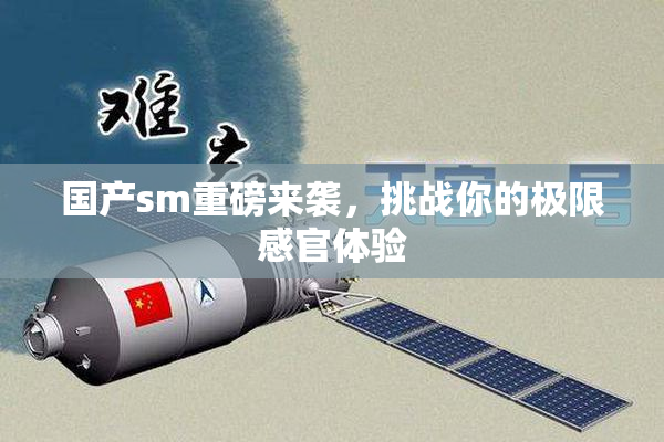 国产sm重磅来袭，挑战你的极限感官体验