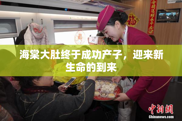 海棠大肚终于成功产子，迎来新生命的到来