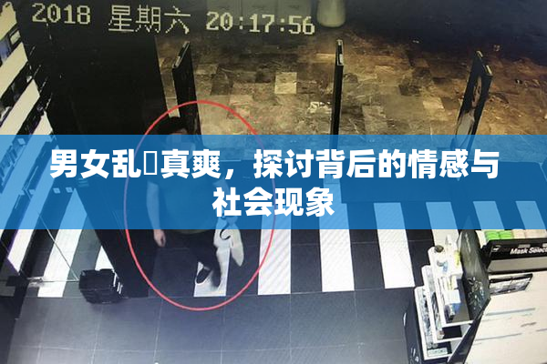 男女乱婬真爽，探讨背后的情感与社会现象