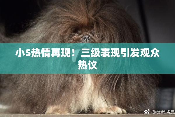 小S热情再现！三级表现引发观众热议