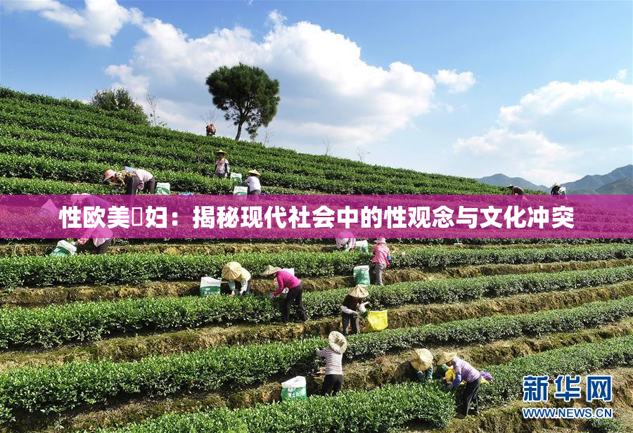 性欧美婬妇：揭秘现代社会中的性观念与文化冲突