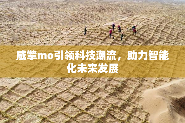 威擎mo引领科技潮流，助力智能化未来发展