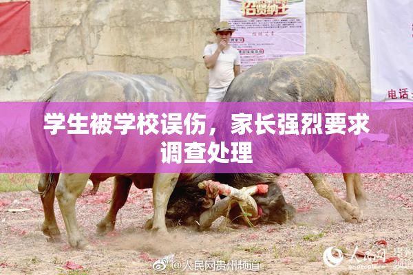 学生被学校误伤，家长强烈要求调查处理