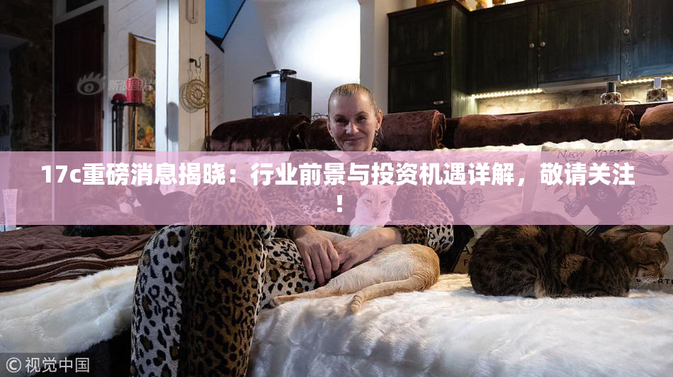 17c重磅消息揭晓：行业前景与投资机遇详解，敬请关注！