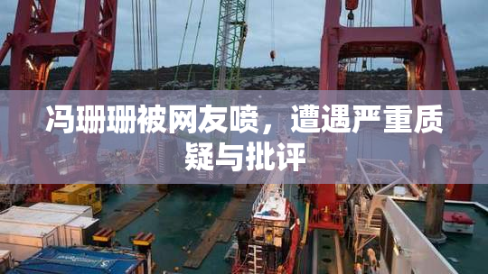 冯珊珊被网友喷，遭遇严重质疑与批评