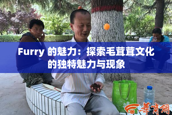 Furry 的魅力：探索毛茸茸文化的独特魅力与现象