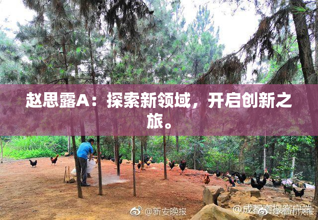 赵思露A：探索新领域，开启创新之旅。