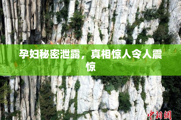 孕妇秘密泄露，真相惊人令人震惊
