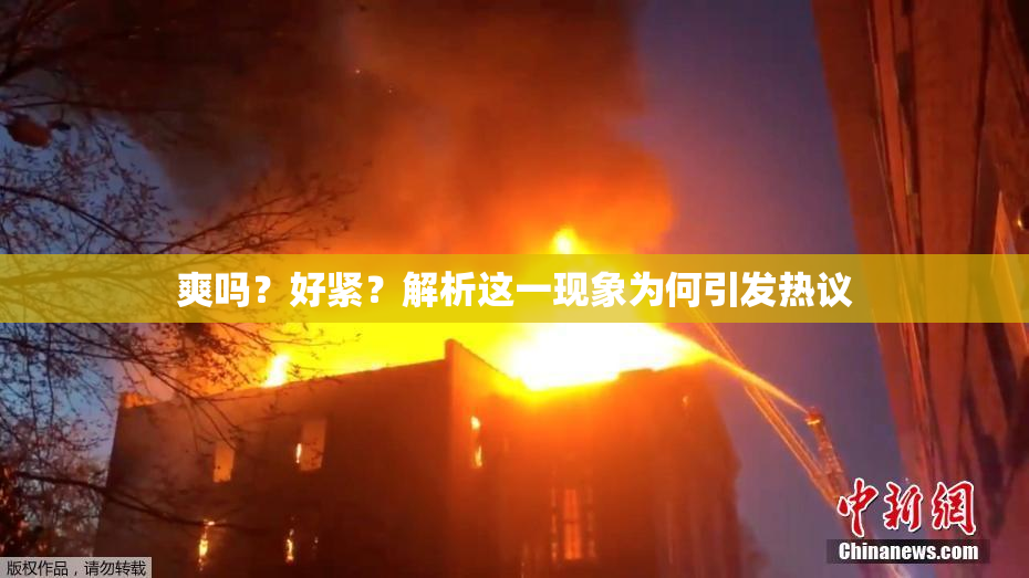 爽吗？好紧？解析这一现象为何引发热议