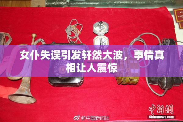 女仆失误引发轩然大波，事情真相让人震惊