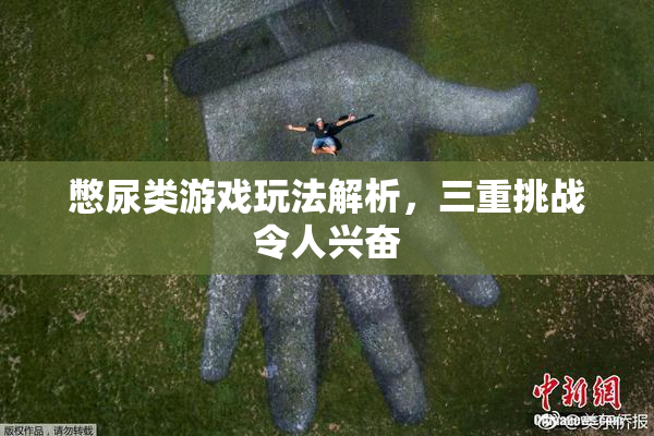 憋尿类游戏玩法解析，三重挑战令人兴奋