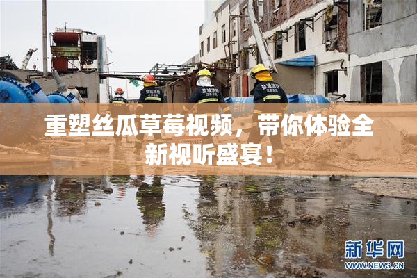 重塑丝瓜草莓视频，带你体验全新视听盛宴！