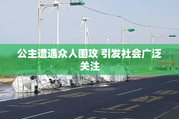 公主遭遇众人围攻 引发社会广泛关注