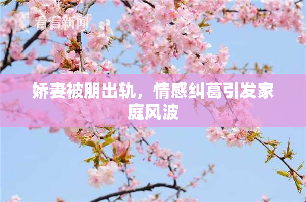 娇妻被朋出轨，情感纠葛引发家庭风波