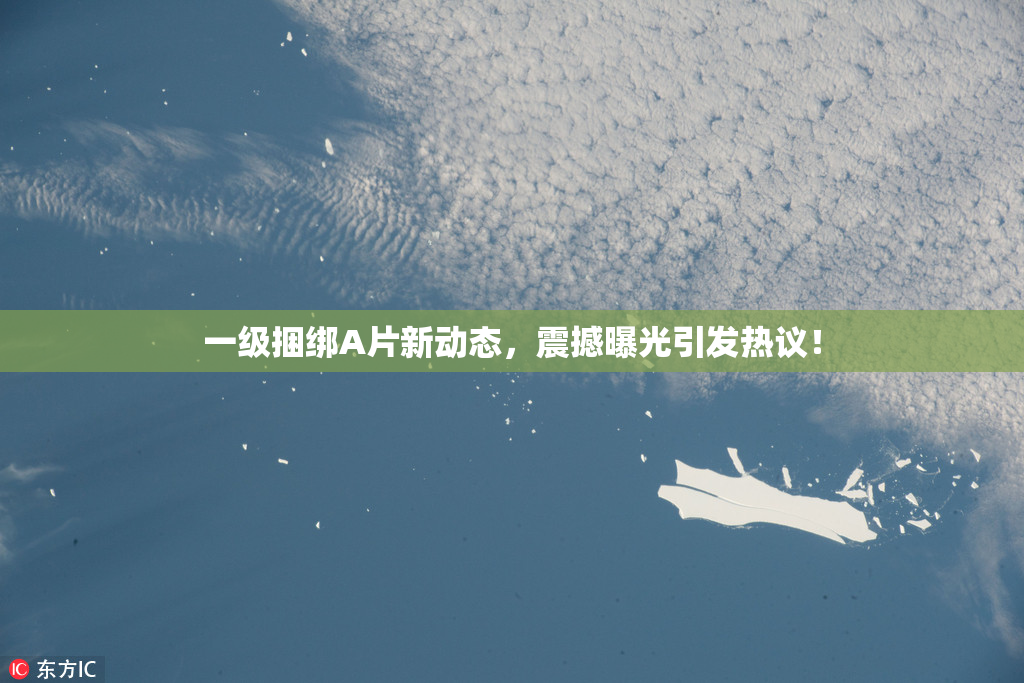 一级捆绑A片新动态，震撼曝光引发热议！