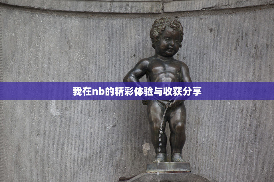 我在nb的精彩体验与收获分享