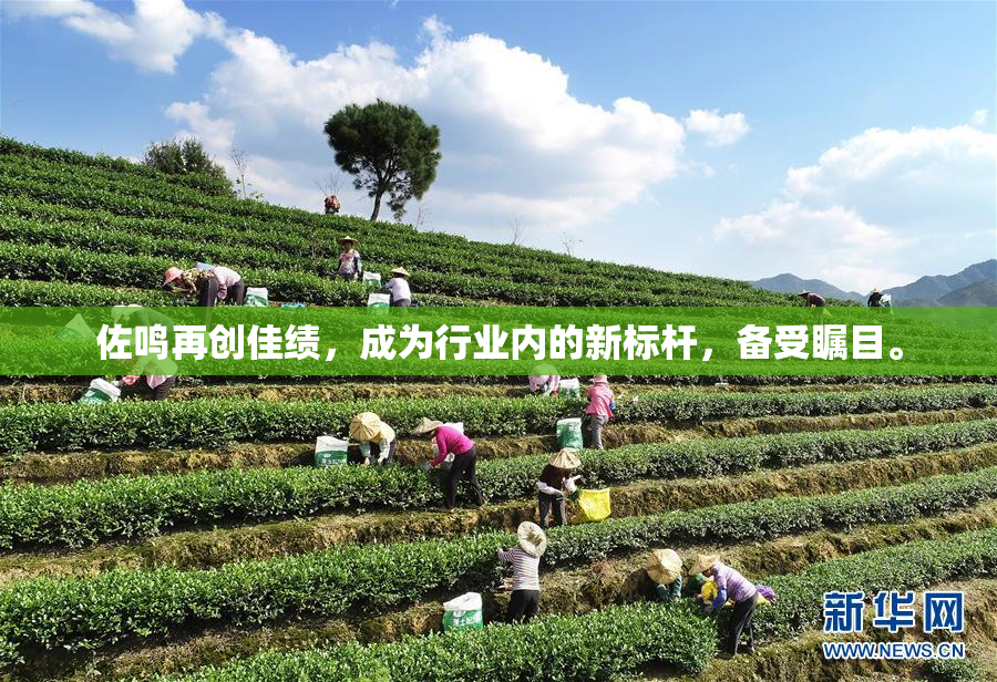 佐鸣再创佳绩，成为行业内的新标杆，备受瞩目。