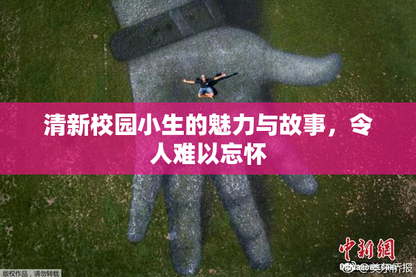 清新校园小生的魅力与故事，令人难以忘怀