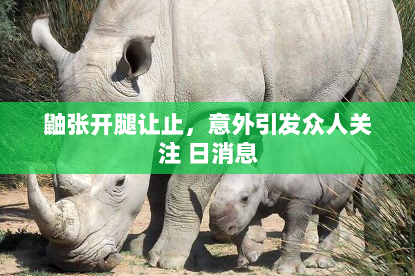 鼬张开腿让止，意外引发众人关注 日消息