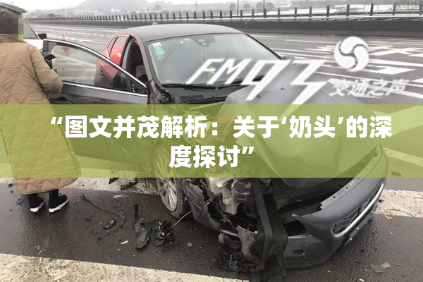 “图文并茂解析：关于‘奶头’的深度探讨”