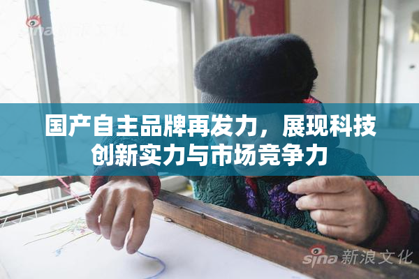 国产自主品牌再发力，展现科技创新实力与市场竞争力