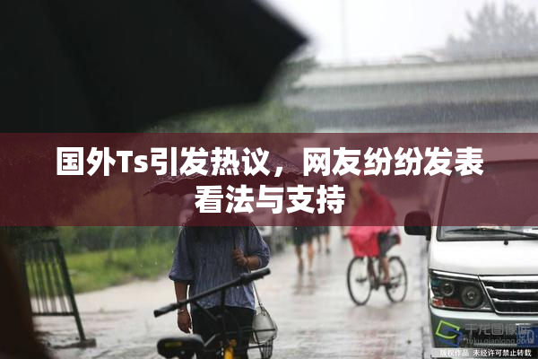 国外Ts引发热议，网友纷纷发表看法与支持