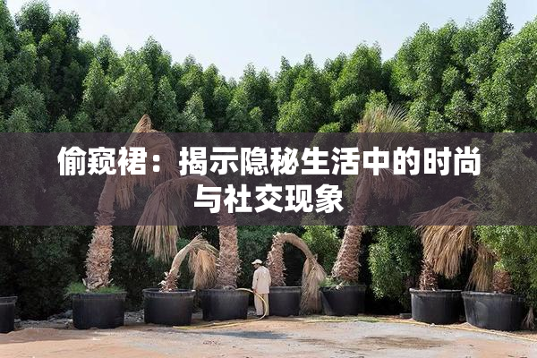 偷窥裙：揭示隐秘生活中的时尚与社交现象