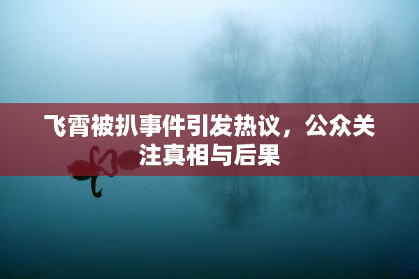 飞霄被扒事件引发热议，公众关注真相与后果