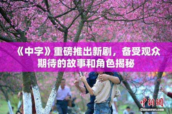 《中字》重磅推出新剧，备受观众期待的故事和角色揭秘