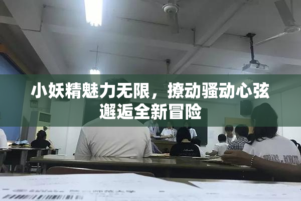 小妖精魅力无限，撩动骚动心弦邂逅全新冒险
