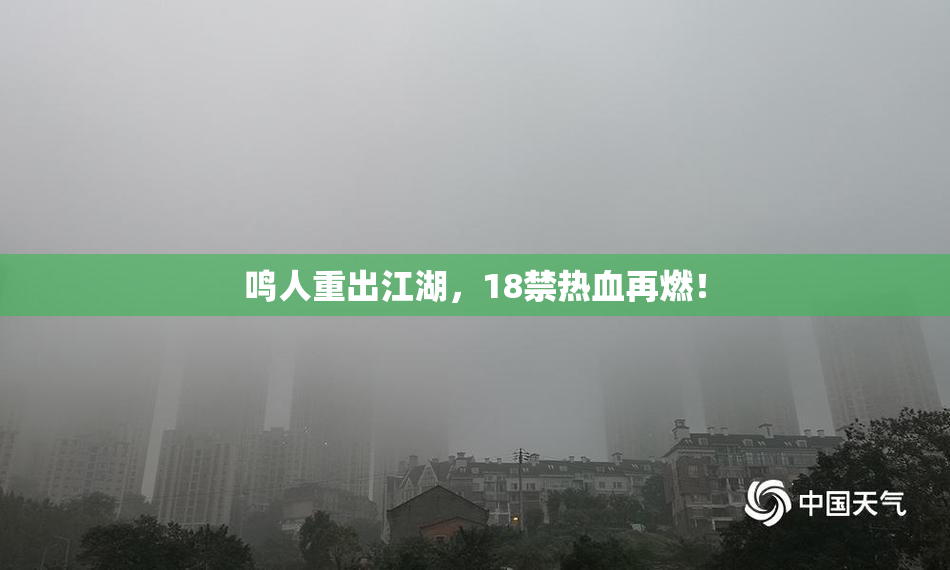 鸣人重出江湖，18禁热血再燃！