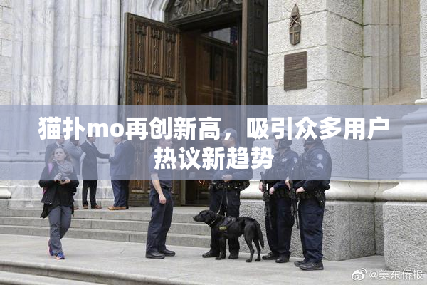 猫扑mo再创新高，吸引众多用户热议新趋势