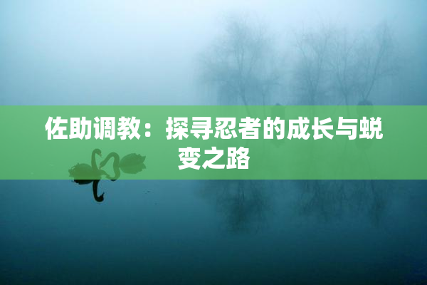 佐助调教：探寻忍者的成长与蜕变之路