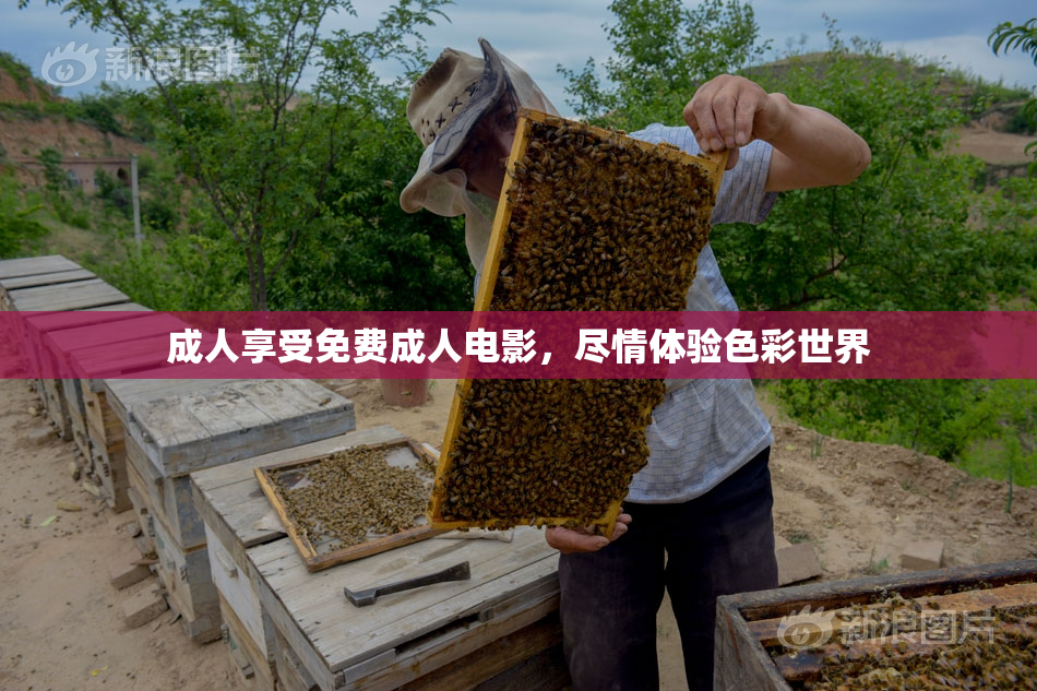 成人享受免费成人电影，尽情体验色彩世界