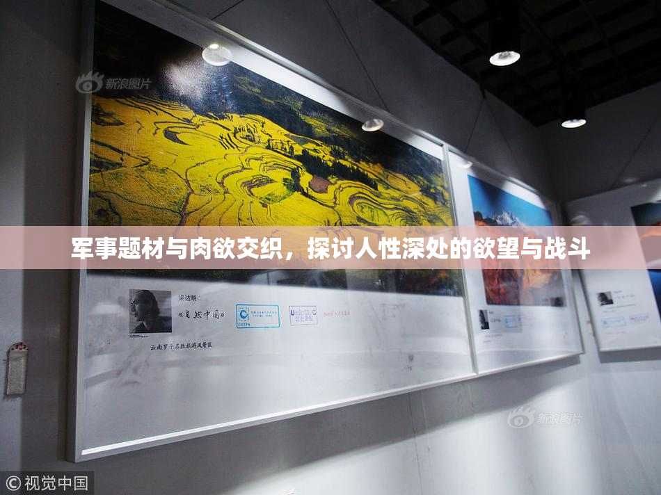 军事题材与肉欲交织，探讨人性深处的欲望与战斗
